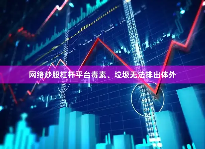 网络炒股杠杆平台毒素、垃圾无法排出体外