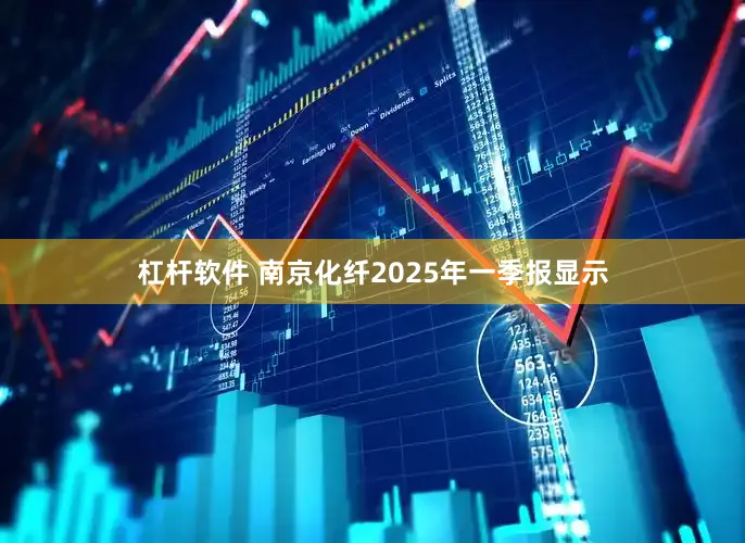 杠杆软件 南京化纤2025年一季报显示