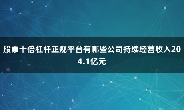 股票十倍杠杆正规平台有哪些公司持续经营收入204.1亿元