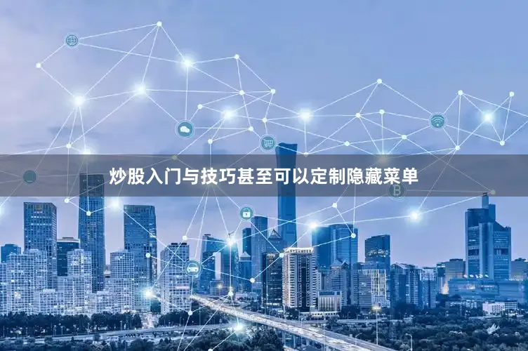 炒股入门与技巧甚至可以定制隐藏菜单