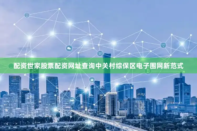 配资世家股票配资网址查询中关村综保区电子围网新范式