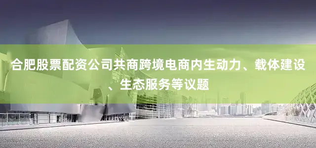 合肥股票配资公司共商跨境电商内生动力、载体建设、生态服务等议题