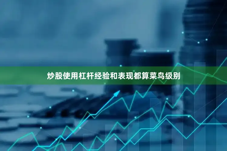 炒股使用杠杆经验和表现都算菜鸟级别